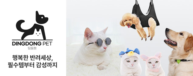 딩동펫