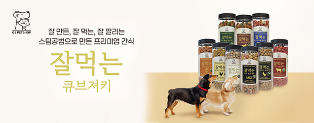 지에스펫